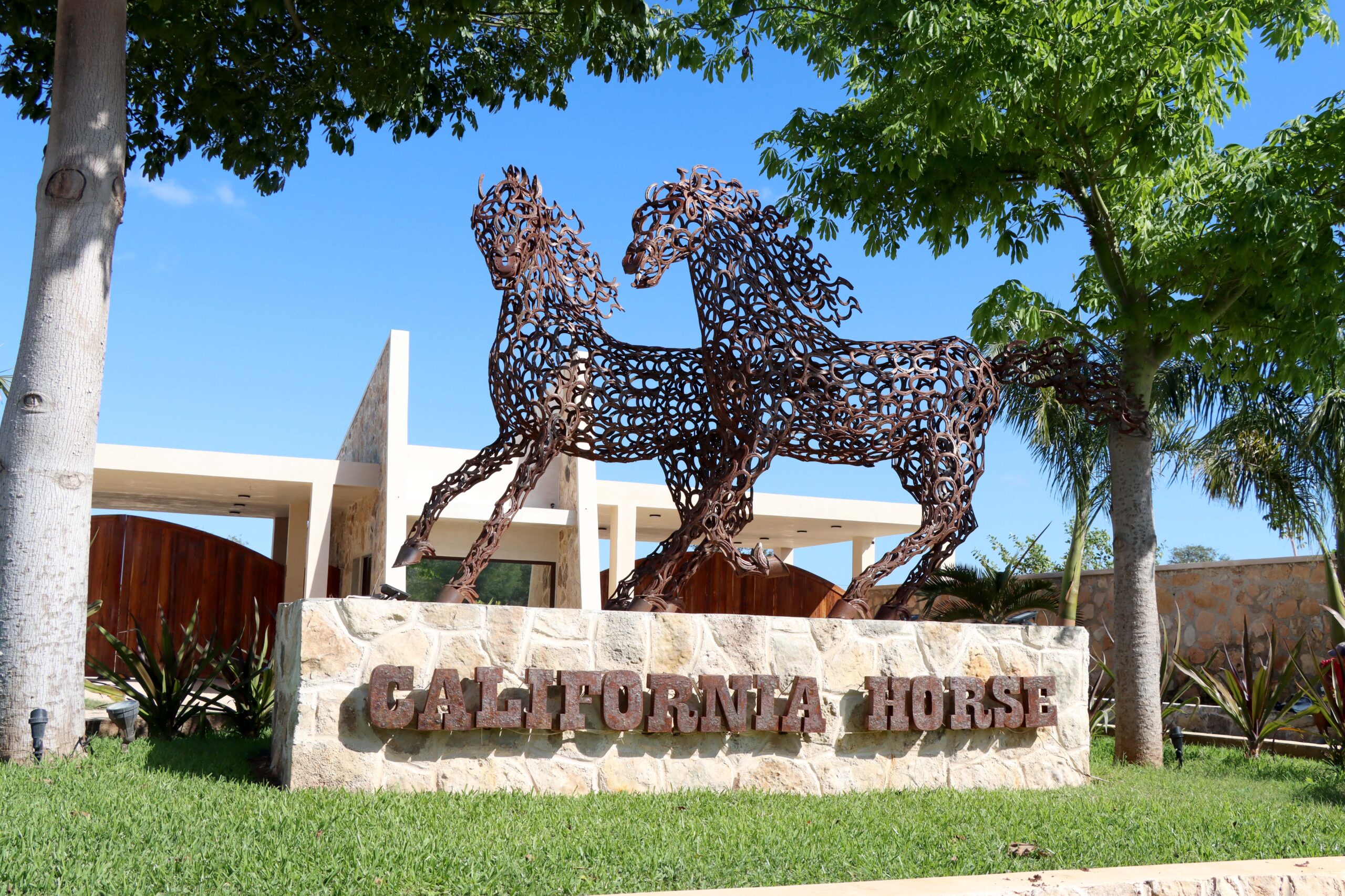 California Horse (20)